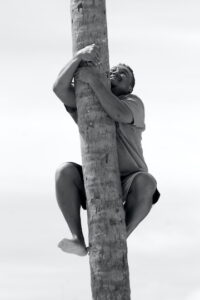 Male coconut tree climber