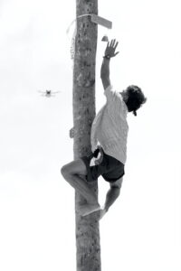 Male coconut tree climber