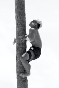 Male coconut tree climber