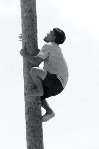 Male coconut tree climber